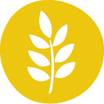 Carta - alérgenos gluten