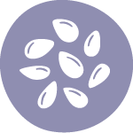 Carta - alérgenos sésamo