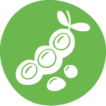 Carta - alérgenos soja